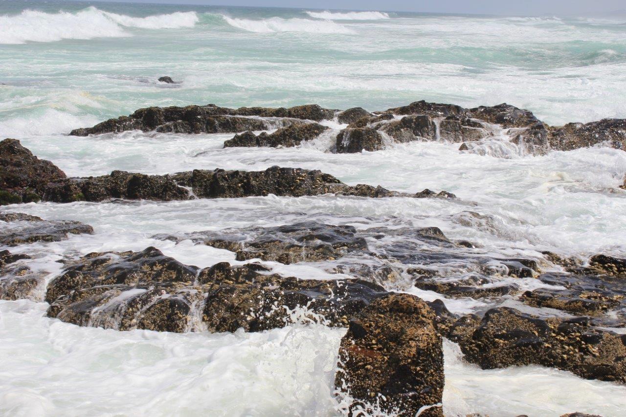 Silver Dolphin Holidays Appartement Amanzimtoti Kamer foto